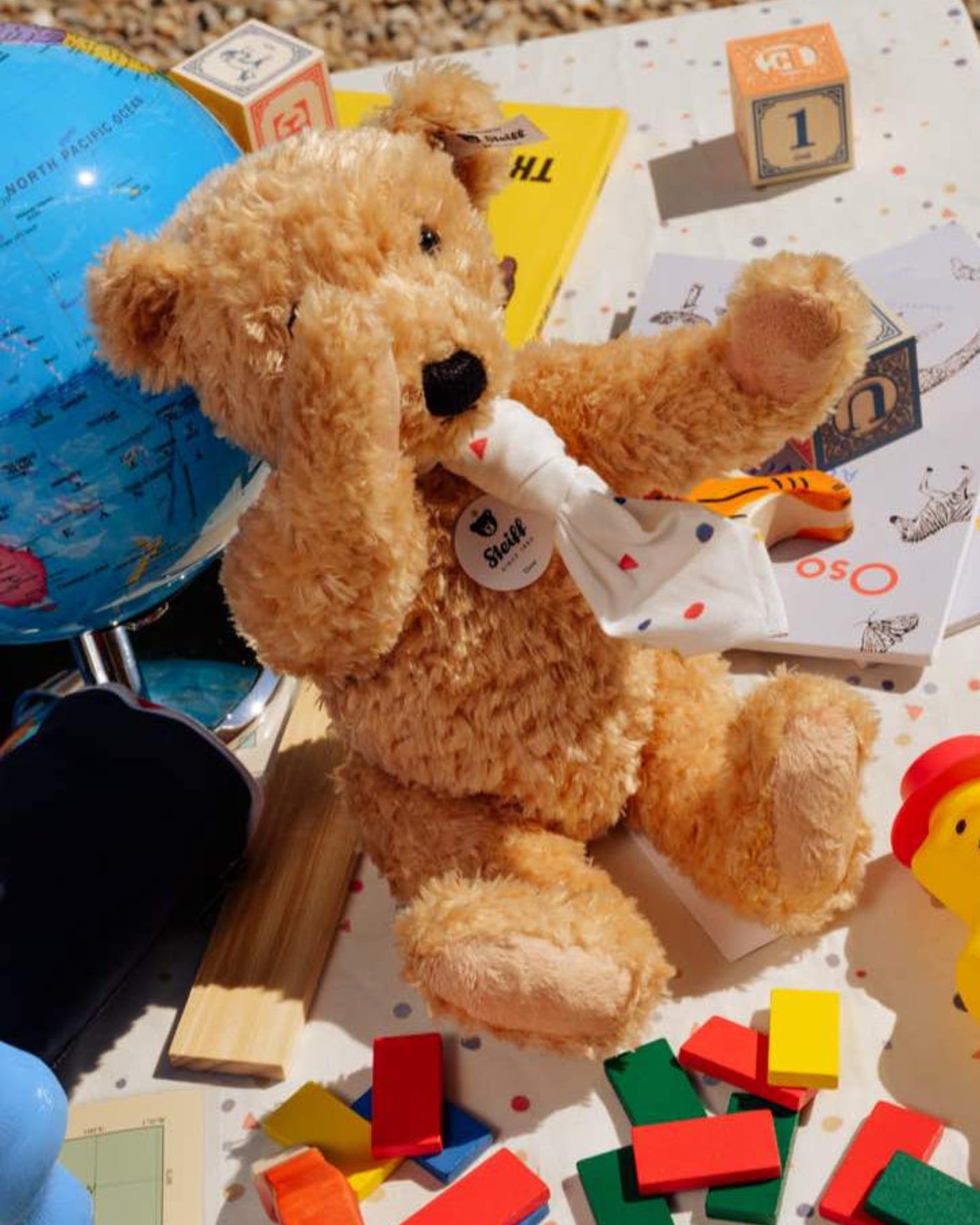The Toy Shop
