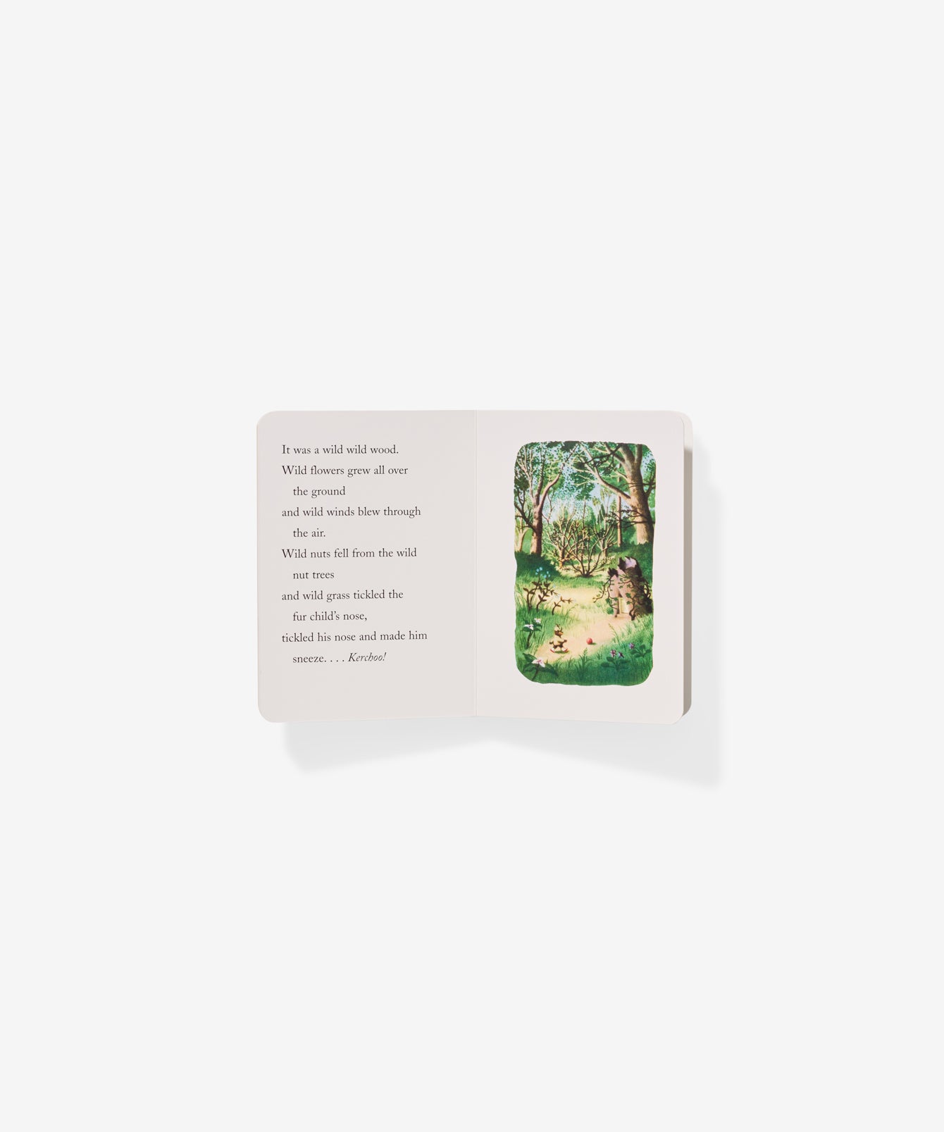 Board Book, Little Fur Family