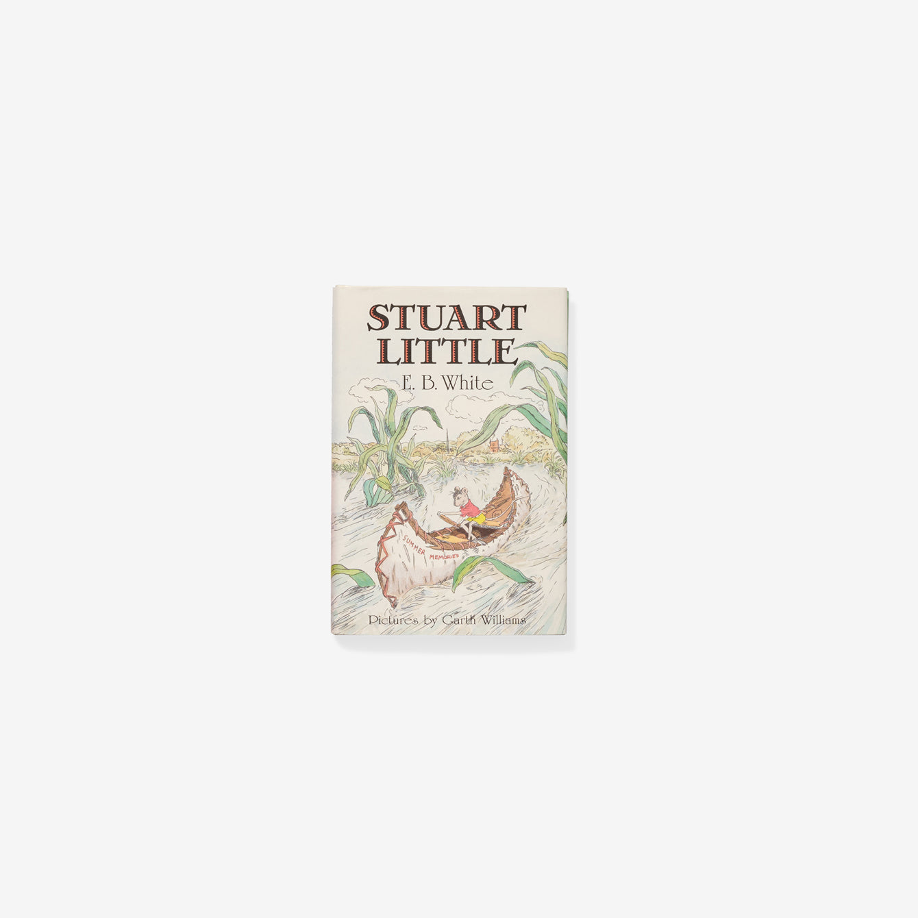 Color Group: Hardcover Chapter Book