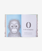 Hardcover Book, The Animal Alphabet