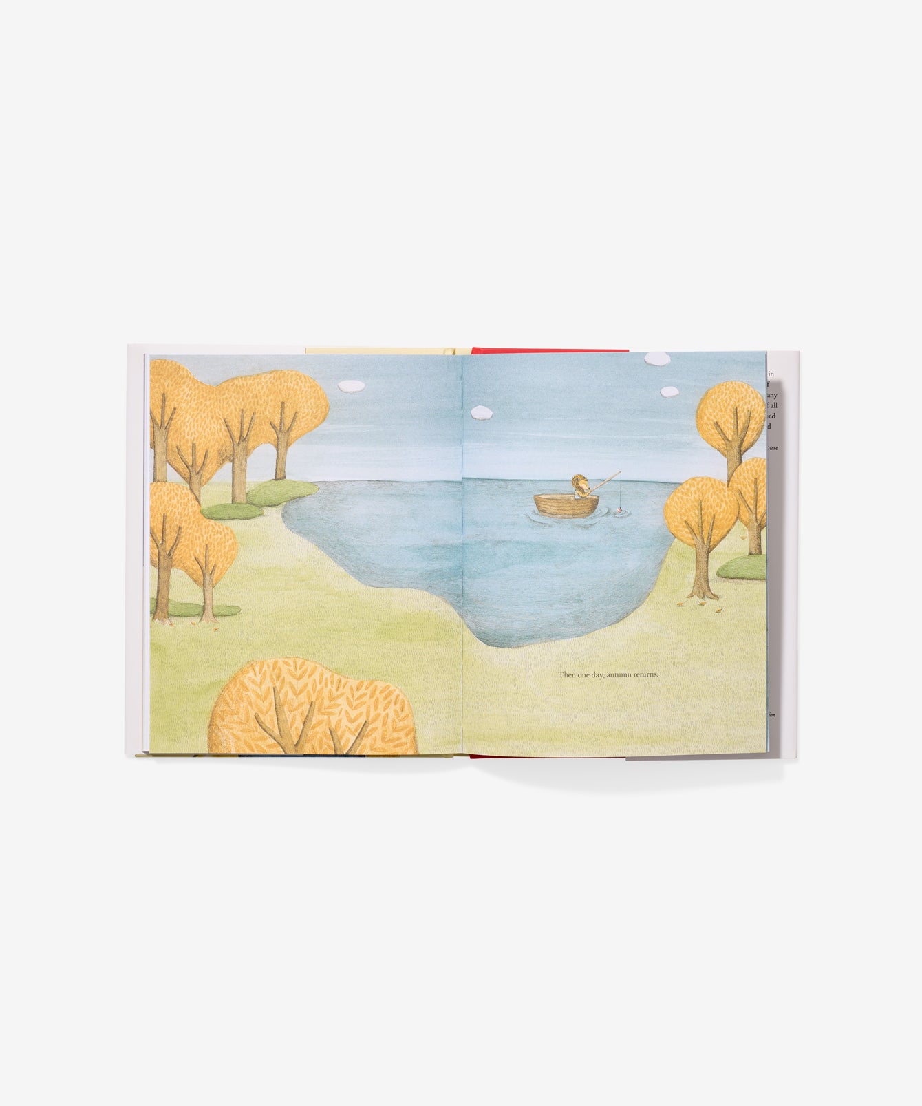 Hardcover Book, The Lion and The Bird