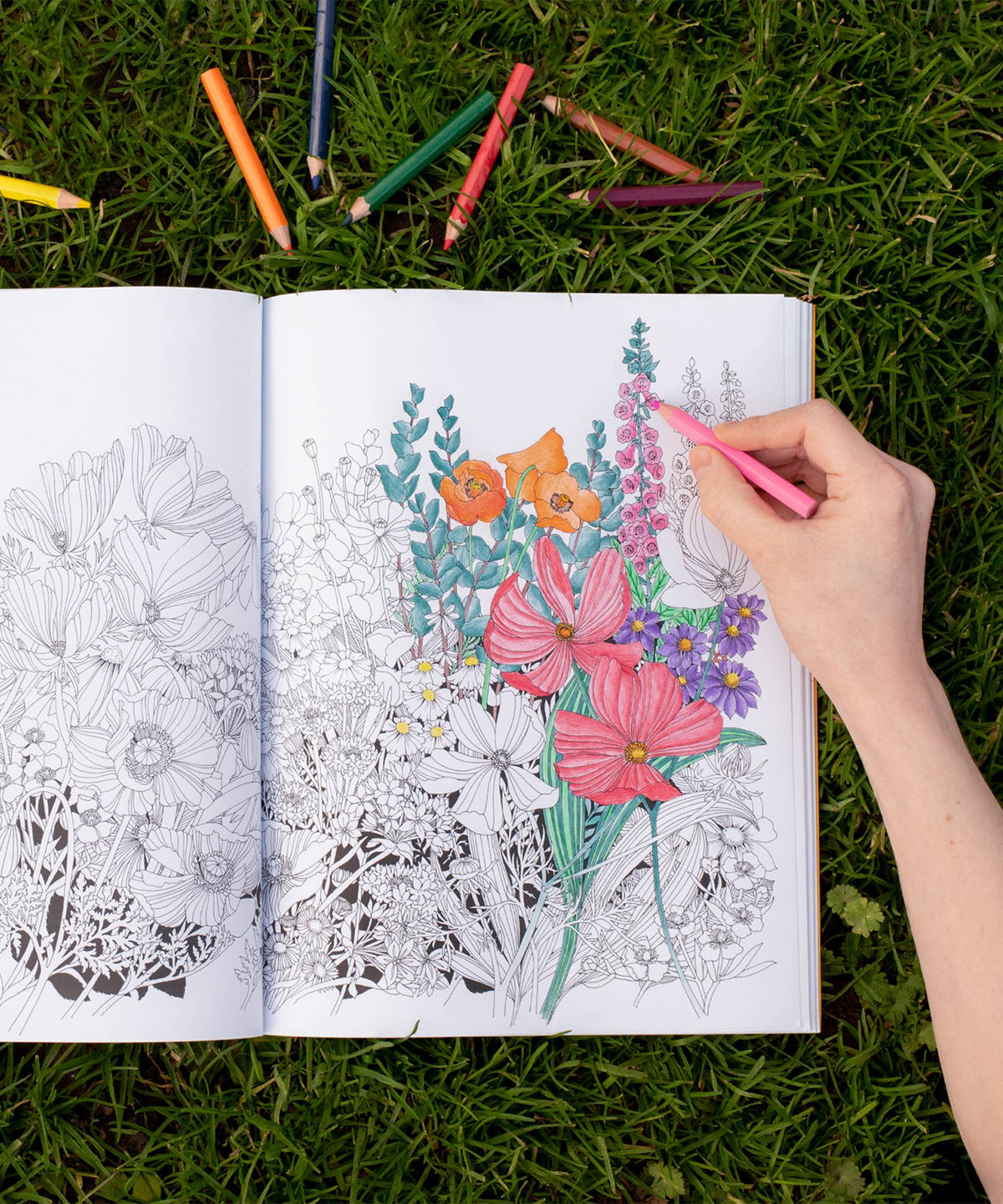 Coloring Book, Beautiful Planet