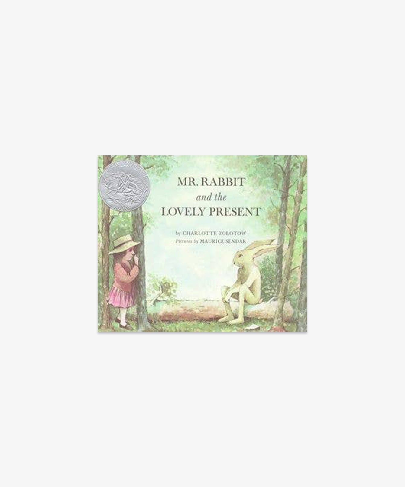 Hardcover Book, Mr. Rabbit And The Lovely Present – Oso & Me