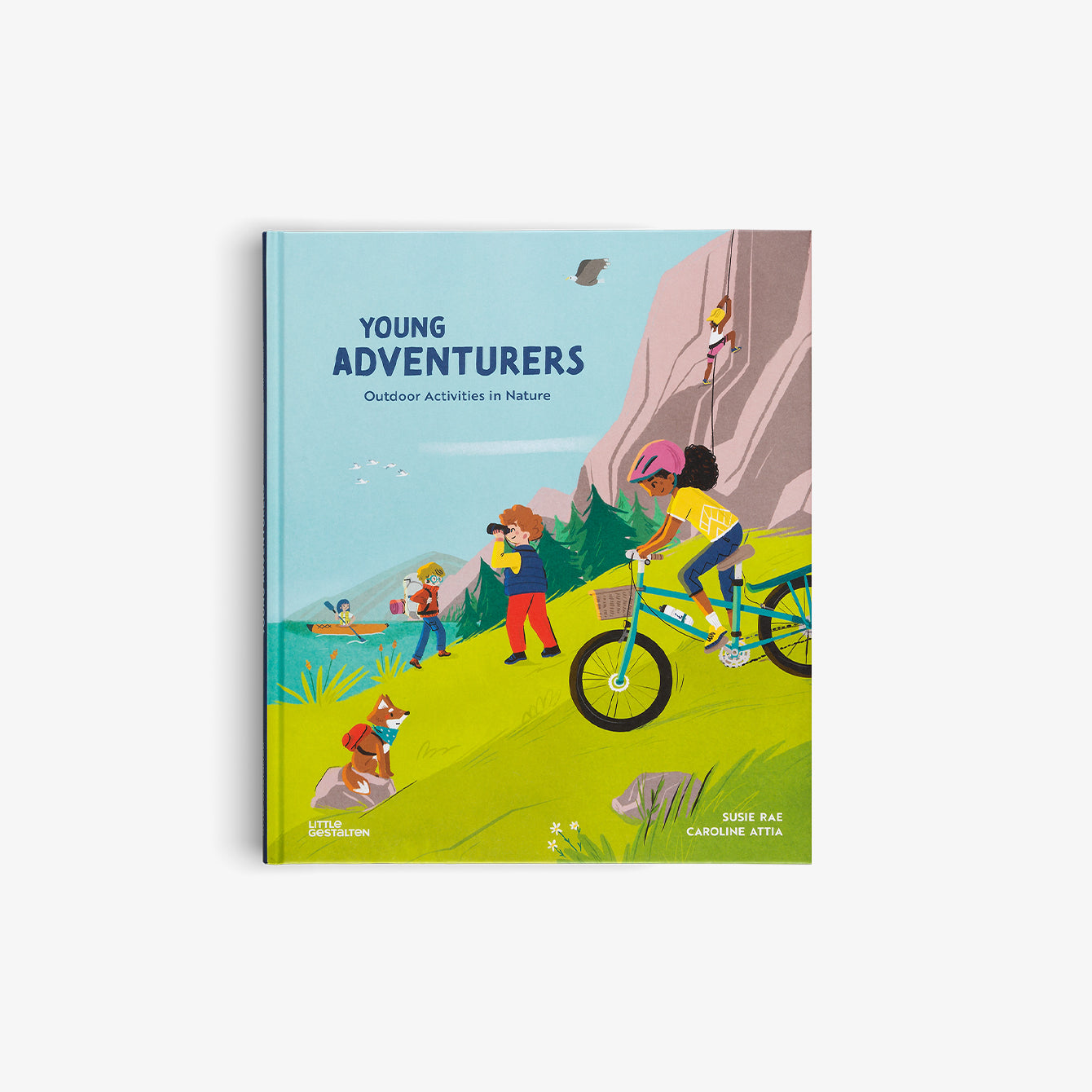 Color Group: Hardcover Classic Book