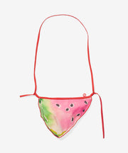 Little Zip Purse, Summer Slice