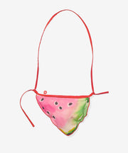 Little Zip Purse, Summer Slice