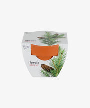 Mini Grow Pot, Spruce