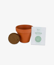 Mini Grow Pot, Spruce