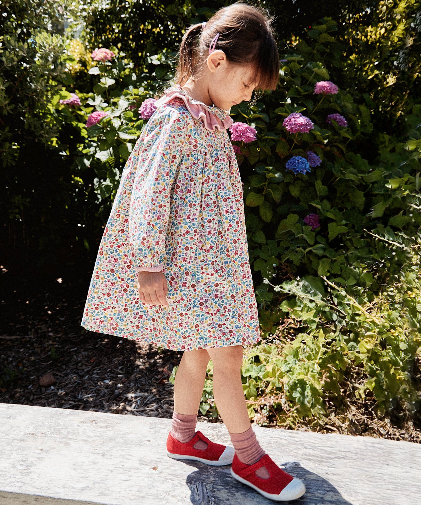 Sassy Dress, Burgundy Coneflower Floral