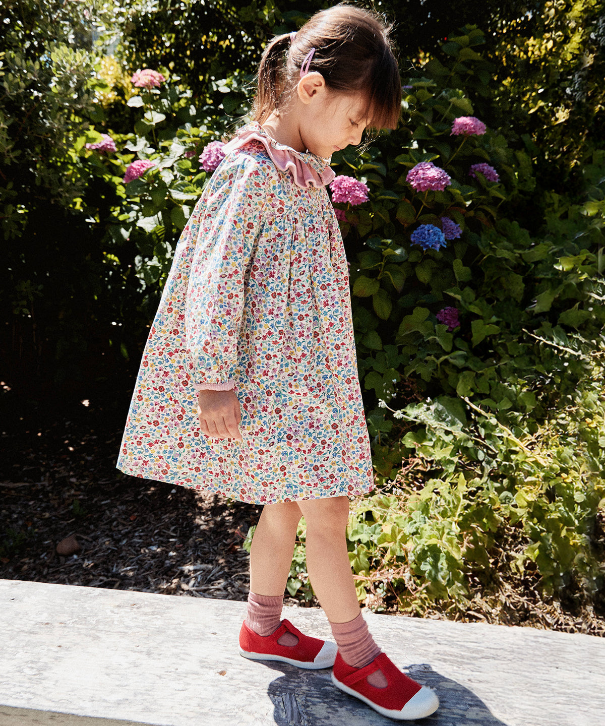 Sassy Dress, Burgundy Coneflower Floral