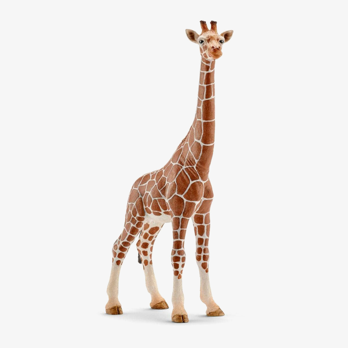 Color Group: Schleich Large Animal