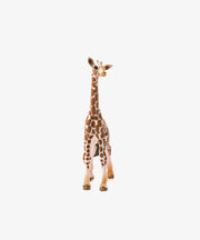 Schleich Medium Animal, Baby Giraffe Calf
