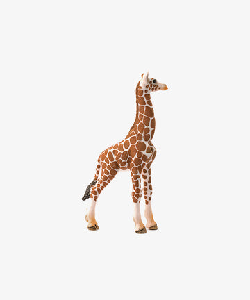 Schleich Medium Animal, Baby Giraffe Calf