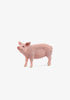 Oso & Me Schleich Small Animal, Pig