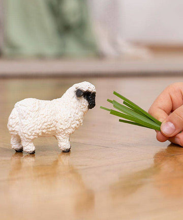 Schleich Small Animal, Valais Black-Nosed Sheep