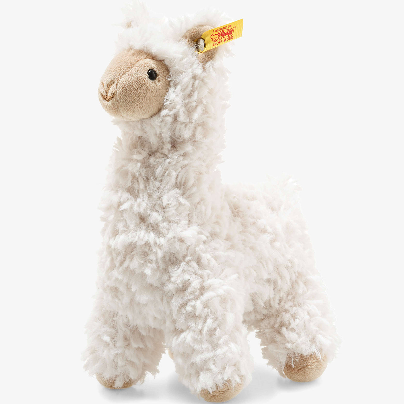 Layette Toys & Accessories