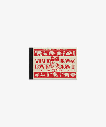 What to Draw and How to Draw It