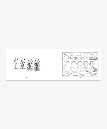 What to Draw and How to Draw It