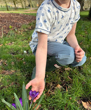 Willie T-Shirt, Le Breakfast