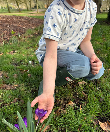 Willie T-Shirt, Le Breakfast