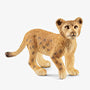 Baby Lion Cub