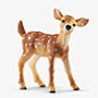 Baby White-Tailed Fawn