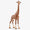 Mama Giraffe