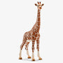 Mama Giraffe
