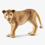 Mama Lioness