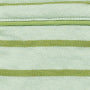 Palm Stripe