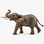 Papa Elephant