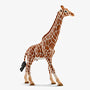 Papa Giraffe