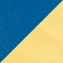 Primary Color Block