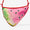 Summer Slice Bag