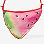 Summer Slice Bag