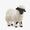 Valais Black-Nosed Sheep